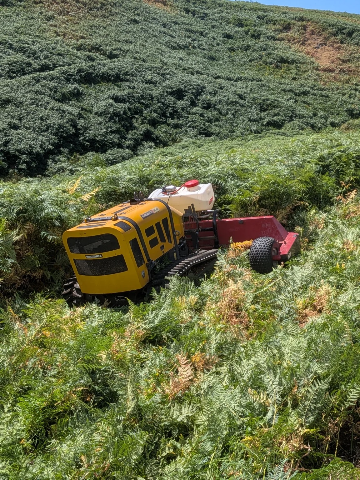 Robocut working in dense bracken