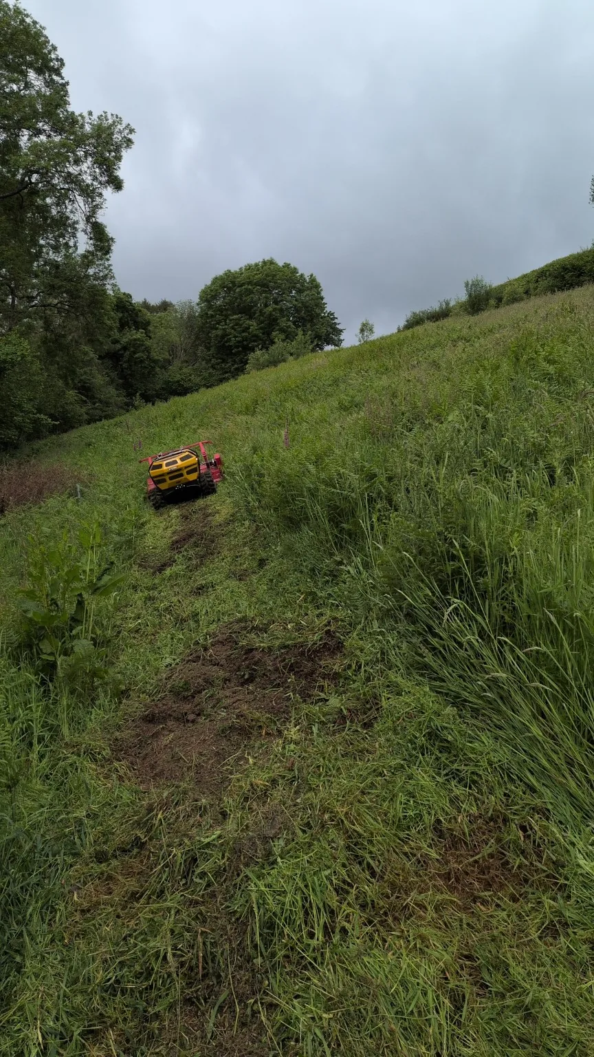 Robocut cutting difficult overgrown ground