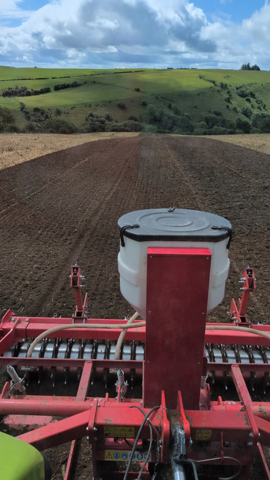 Seedbed and drilling work