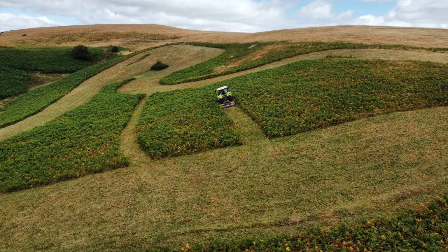 Aerial view of bracken cutting across a hillside