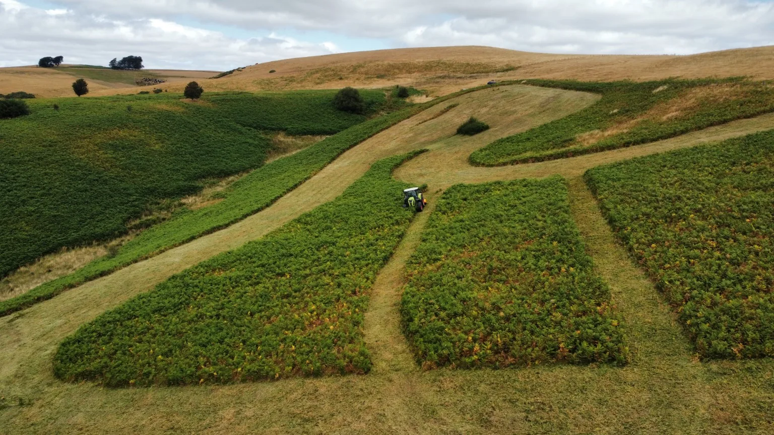 Aerial view of bracken management on rolling hill ground