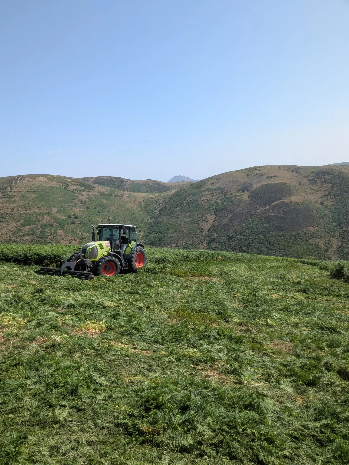 Robocut working on a steep bracken-covered slope