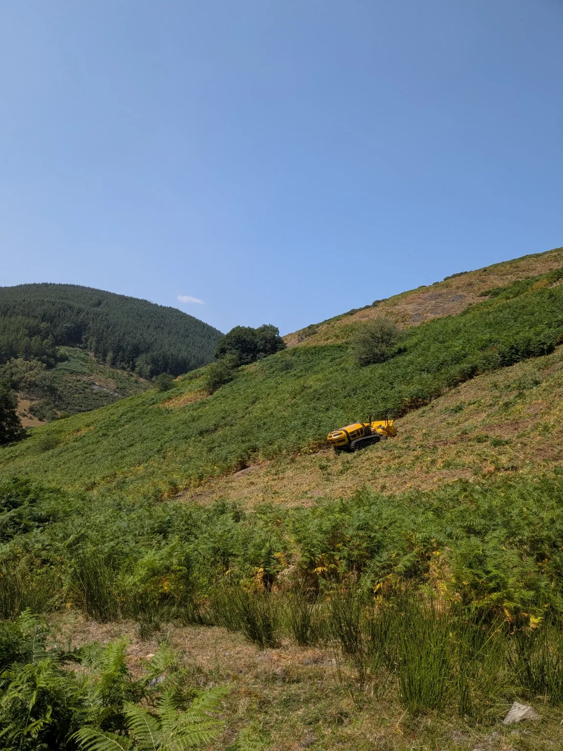 Tractor cutting bracken in upland countryside