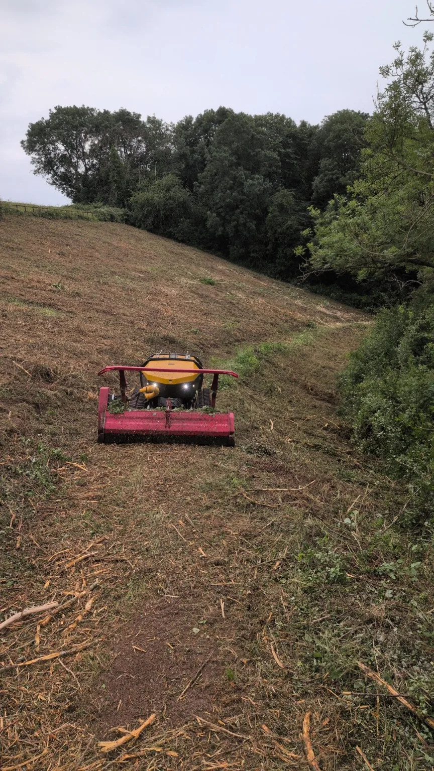 Robocut clearing a narrow overgrown bank
